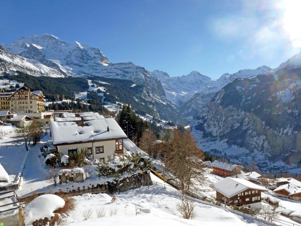 Studio Chalet Silence By Interhome Wengen Zewnętrze zdjęcie